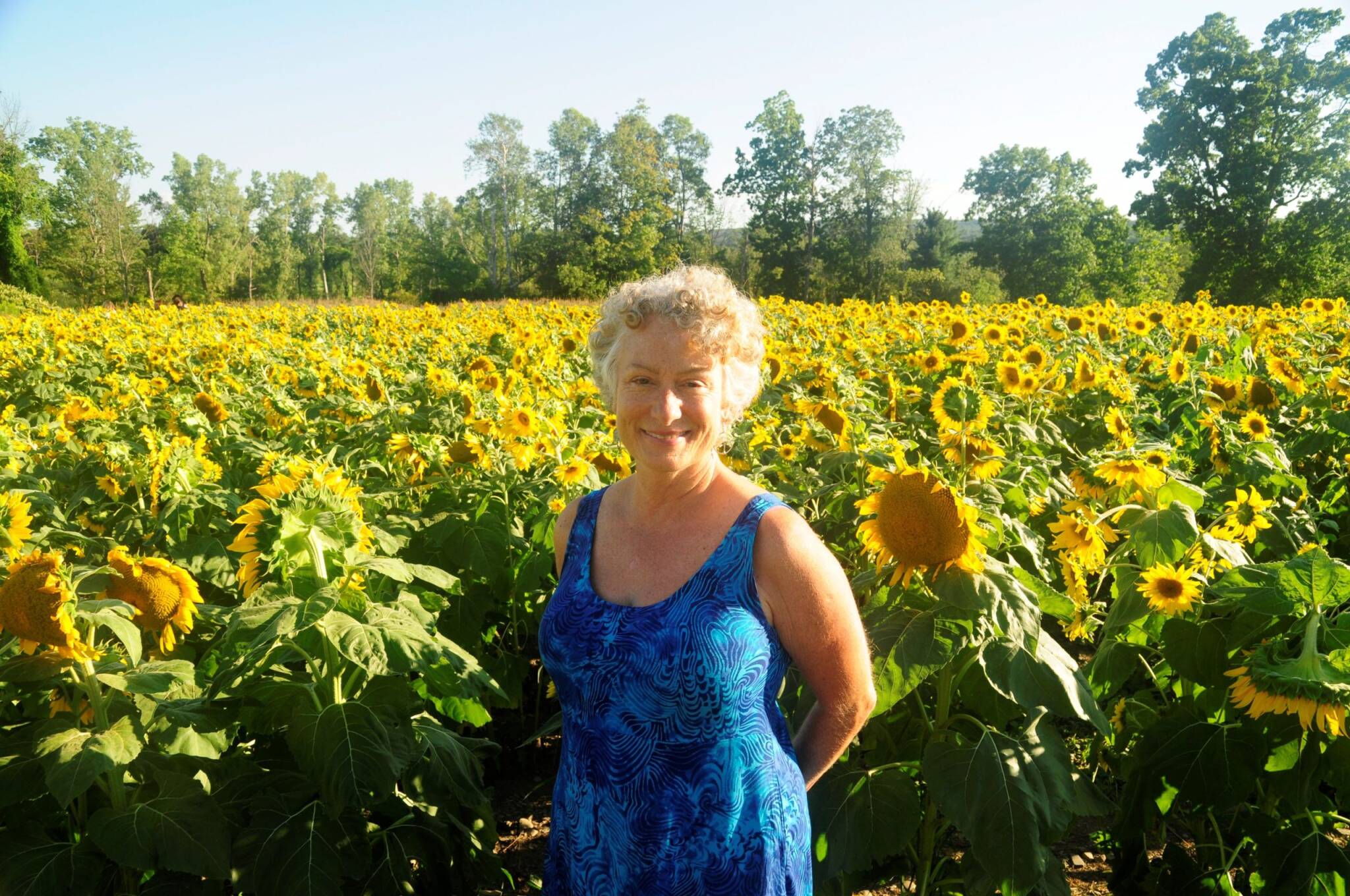 Sue in sunflowers