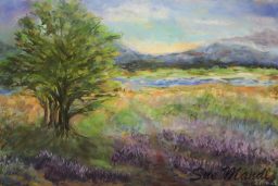 River Meadow
