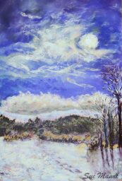 Moonlit Snow