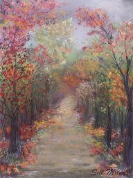 Relaxing Path In Vermont